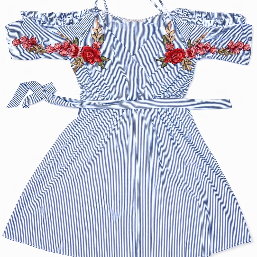Blue Stripe Off-Shoulder Dress with Red Floral Embroidery